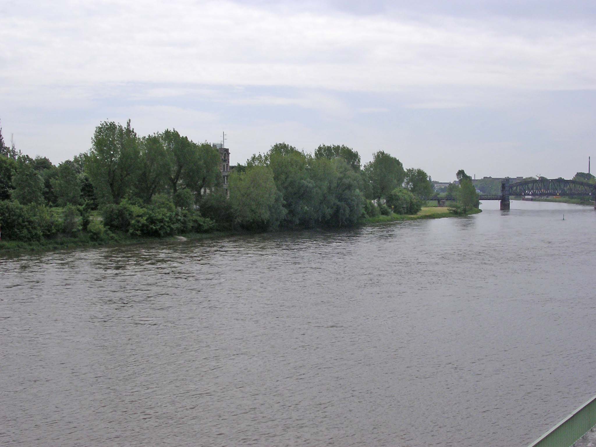 Elbe at Magdeburg 2
