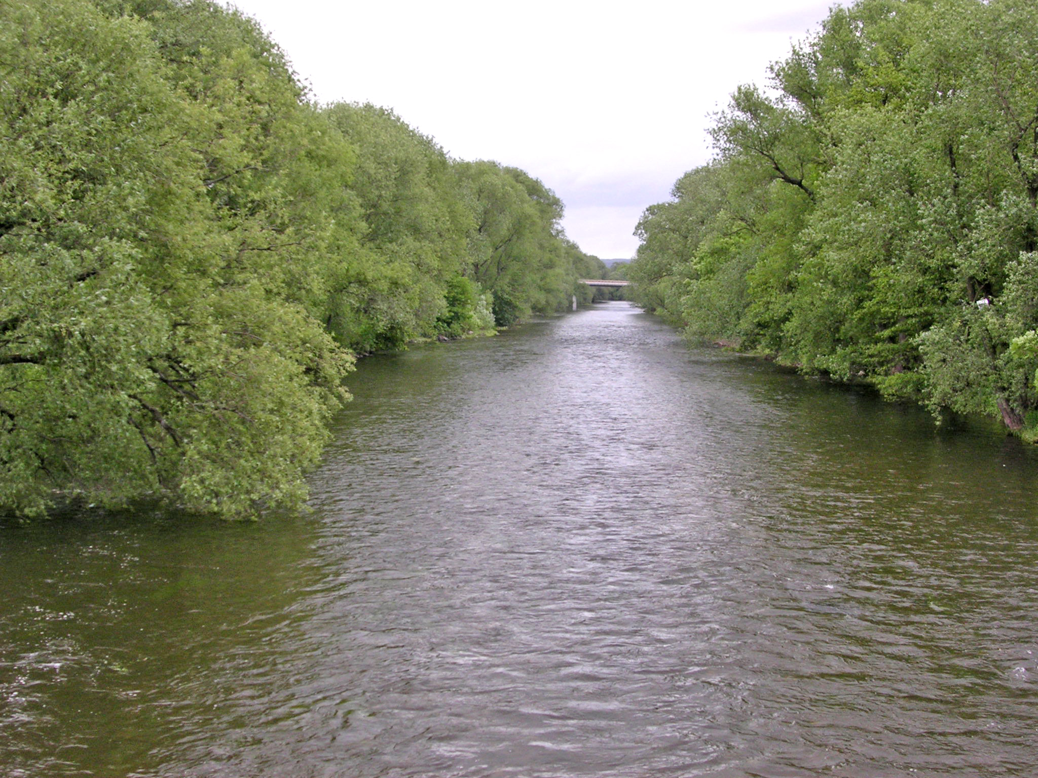 Saale River 1